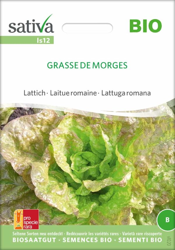 grasse de morges lattich romanasalat römersalat Saatgut,Bio Sativa kompost und liebe kaufen alte sorten samenfest online shop garten selbstversorger