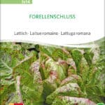 forellenschluss salat lattich romanasalat römersalat Saatgut,Bio Sativa kompost und liebe kaufen alte sorten samenfest online shop garten selbstversorger