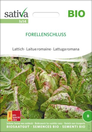 forellenschluss salat lattich romanasalat römersalat Saatgut,Bio Sativa kompost und liebe kaufen alte sorten samenfest online shop garten selbstversorger