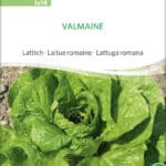 valmaine lattich romanasalat römersalat Saatgut,Bio Sativa kompost und liebe kaufen alte sorten samenfest online shop garten selbstversorger