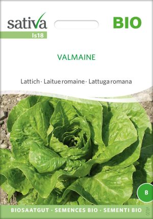 valmaine lattich romanasalat römersalat Saatgut,Bio Sativa kompost und liebe kaufen alte sorten samenfest online shop garten selbstversorger