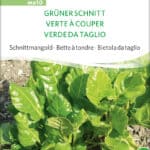 Grüner Schnitt, mangold schnittmangold, spinatmangold, stielkraut, , bio samen, saatgut, kaufen sativa