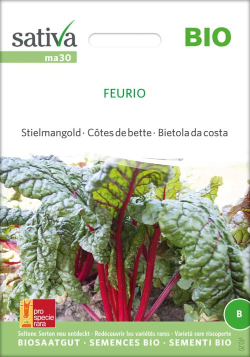 feurio-mangold-bio-samen-kaufen-saatgut-sativa