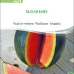 melone Sugar Baby | Wassermelone, stielkraut, , bio samen, saatgut, kaufen sativa