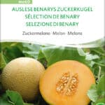 melone Benarys Zuckerkugel | Zuckermelone , stielkraut, , bio samen, saatgut, kaufen sativa