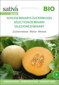 melone Benarys Zuckerkugel | Zuckermelone , stielkraut, , bio samen, saatgut, kaufen sativa