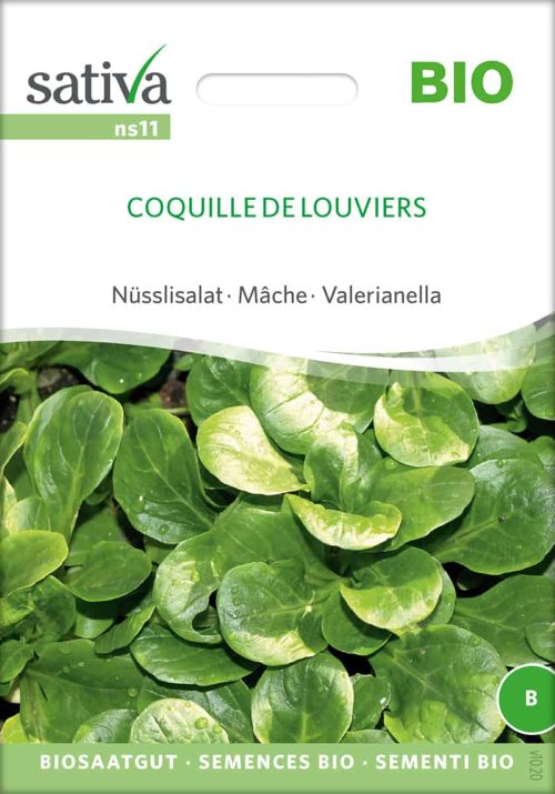 Coquille De Louviere Feldsalat Nüsslisalat Coquille de Louviers freiland Saatgut,Bio Sativa kompost und liebe kaufen alte sorten samenfest online shop garten selbstversorger