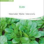 Feldsalat Nüsslisalat Elan freiland Saatgut,Bio Sativa kompost und liebe kaufen alte sorten samenfest online shop garten selbstversorger