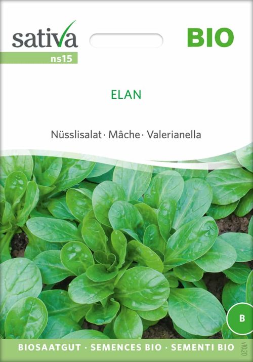 Feldsalat NÃ¼sslisalat Elan freiland Saatgut,Bio Sativa kompost und liebe kaufen alte sorten samenfest online shop garten selbstversorger