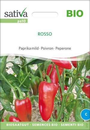 Rosso Paprika BIO-Samen Saatgut kaufen sativa
