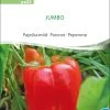 Jumbo Paprika BIO-Samen Saatgut kaufen sativa