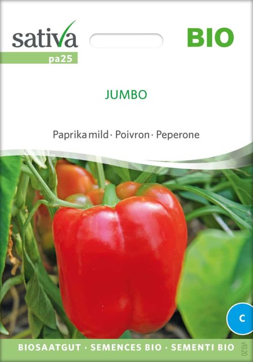 Jumbo Paprika BIO-Samen Saatgut kaufen sativa