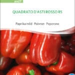 Quadrato D'Asti Rosso Paprika BIO-Samen Saatgut kaufen sativa