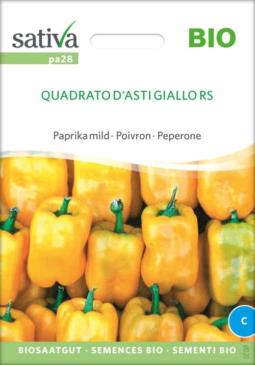 Quadrato D'Asti Giallo Paprika BIO-Samen Saatgut kaufen sativa