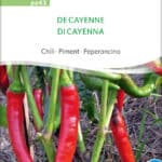 De cayenne Chilisamen Saatgut,Bio Sativa kompost und liebe kaufen alte sorten samenfest online shop garten selbstversorger kaufen bestellen
