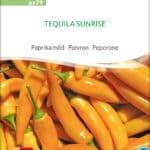 Tequila Sunrise Paprika BIO-Samen Saatgut kaufen sativa