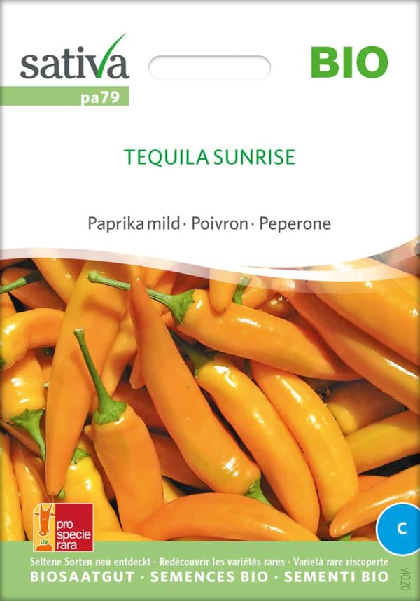 Tequila Sunrise Paprika BIO-Samen Saatgut kaufen sativa