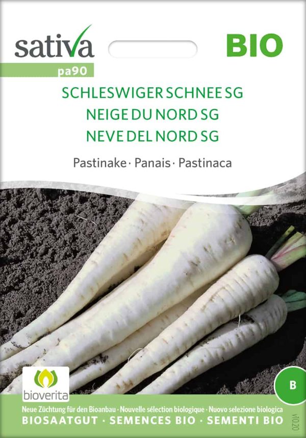 Schleswiger Schnee SG