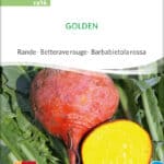 Rande, rote rübe, golden, samen bio kaufen Rote Beete sativa saatgut