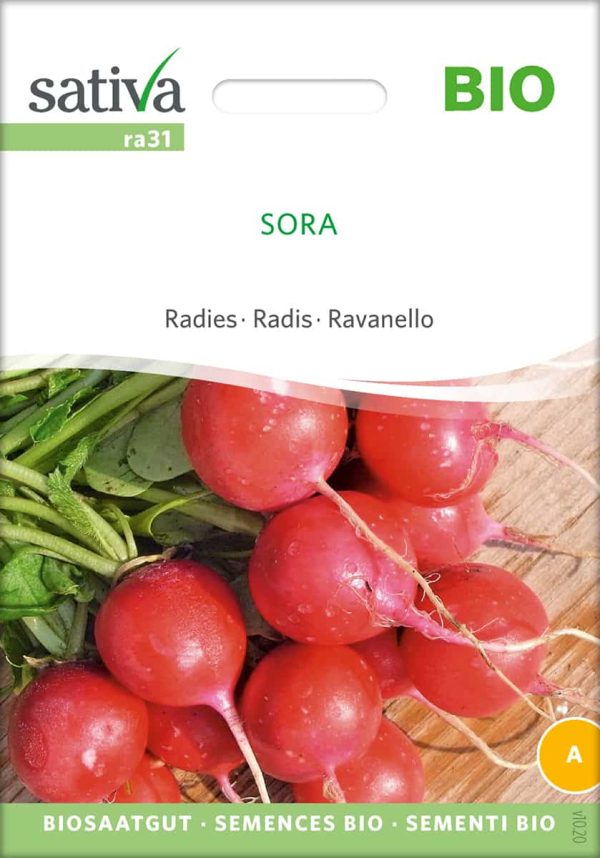 Sora