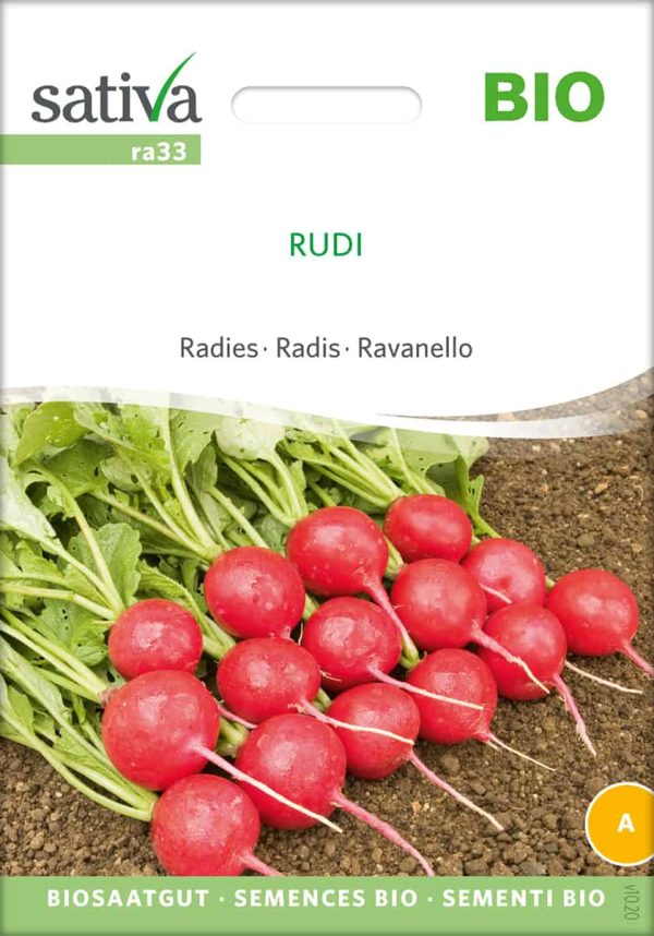 Rudi