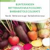 bunte randen rote beete Mischung rotebeete bioverita pro specie rara samen bio saatgut sativa kompost&liebe kaufen online shop