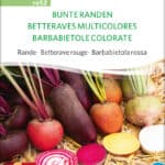 bunte randen rote beete Mischung rotebeete bioverita pro specie rara samen bio saatgut sativa kompost&liebe kaufen online shop