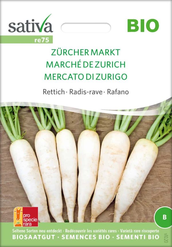 Zürcher Markt, weißer, länglicher Vorsommer- und Sommer-Rettich zum Bündeln oder als Stückrettich. ✔ Bio Samen ✔ samenfestes Saatgut ✔ schneller & günstiger versand