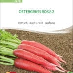 ostergruss-rosa-rettich-bio-samen