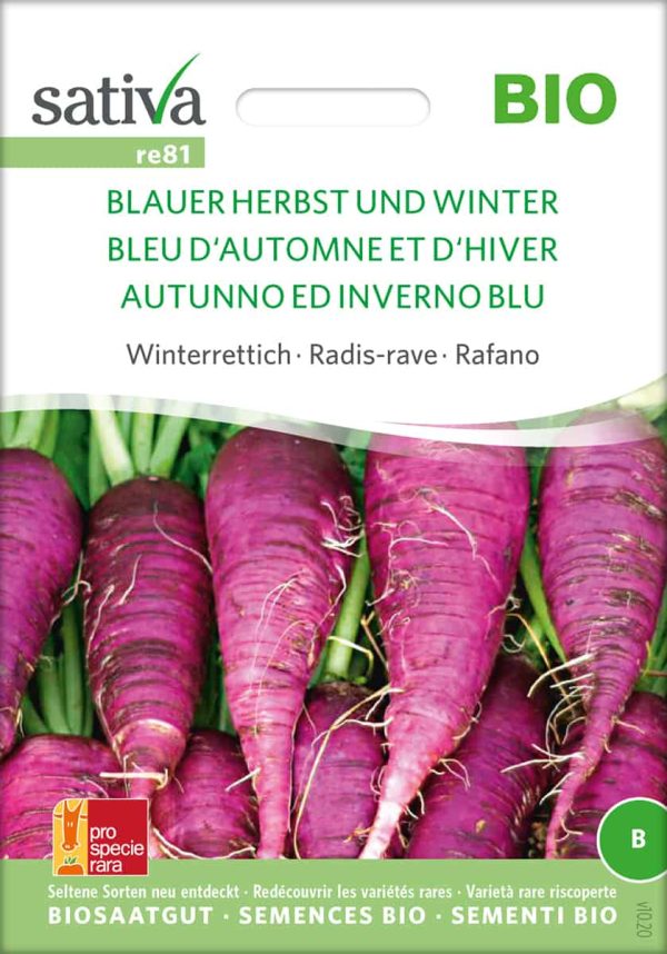 Blauer Herbst und Winter