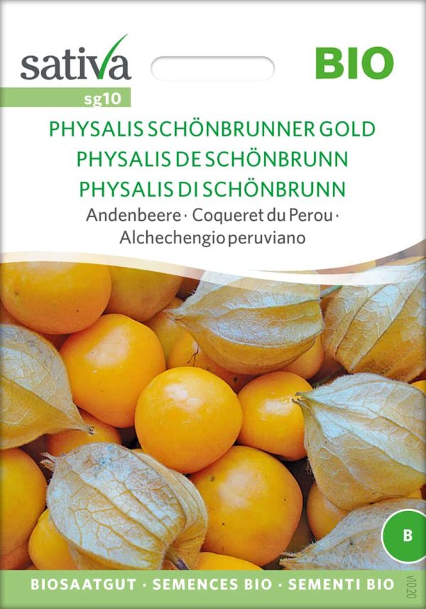 Physalis Schönbrunner gold samen saatgut sativa reinsaat bio demeter samenfestes Saatgut Andebeere kaufen onlineshop