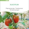 Black Plum tomate stabtomate samen bio saatgut sativa kompost&liebe kaufen online shop