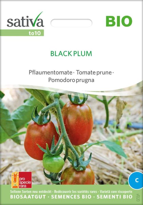 Black Plum tomate stabtomate samen bio saatgut sativa kompost&liebe kaufen online shop