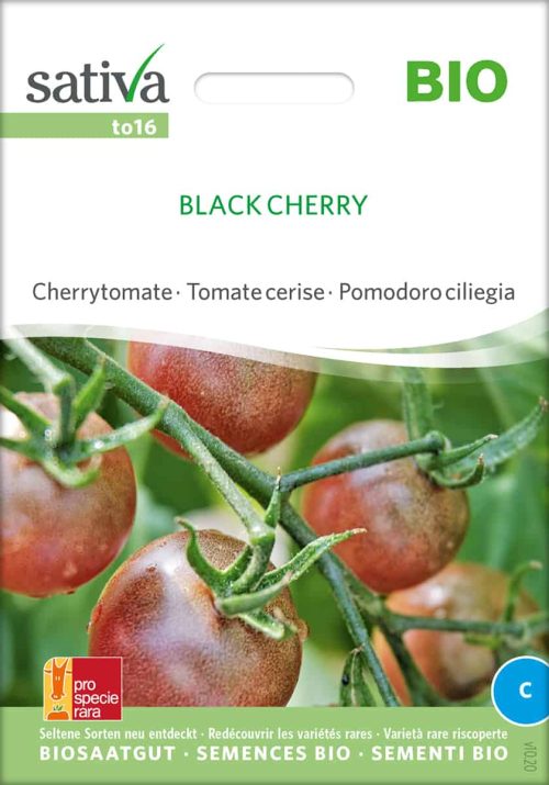 Black Cherry, tomate, bio,samen, Saatgut Bio