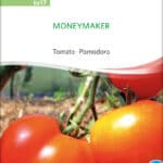 Moneymaker tomate stabtomate samen bio saatgut sativa kompost&liebe kaufen online shop
