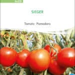 Sieger, tomate, bio,samen, Saatgut Bio