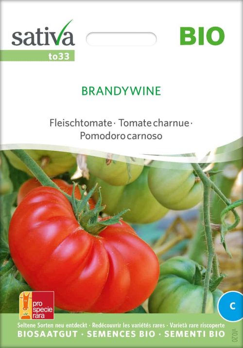 Brandywine tomate Fleischtomate stabtomate samen bio saatgut sativa kompost&liebe kaufen online shop