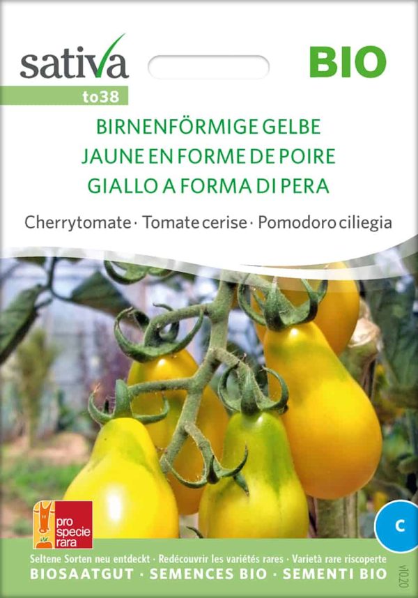 Birnenförmige Gelbe tomate cherrytomate freiland samen bio saatgut sativa kompost&liebe kaufen online shop