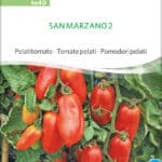 San Marzano 2 tomate pelatitomate stabtomate samen bio saatgut sativa kompost&liebe kaufen online shop