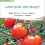 Himbeerfarbige Ampeltomate balkontomate tomate stabtomate samen bio saatgut sativa kompost&liebe kaufen online shop