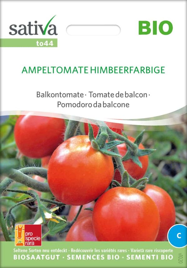 Himbeerfarbige Ampeltomate balkontomate tomate stabtomate samen bio saatgut sativa kompost&liebe kaufen online shop