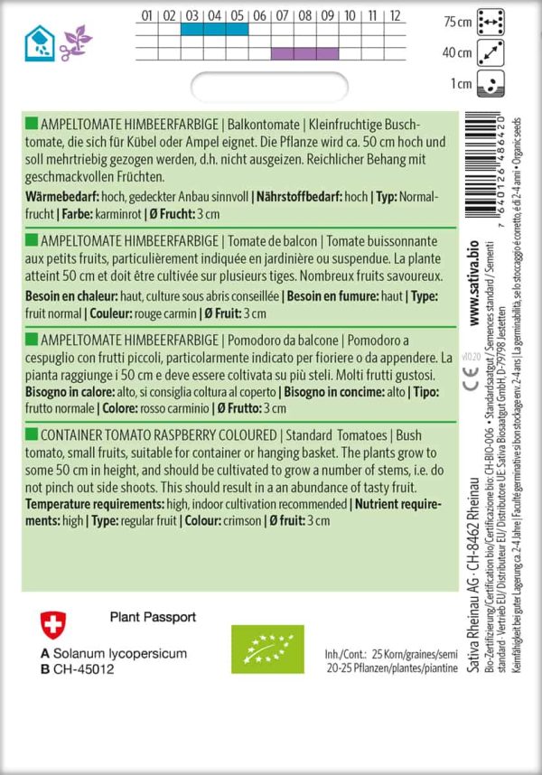 Himbeerfarbige Ampeltomate – Bild 2