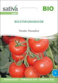 BOLSTAR GRANDA tomate stabtomate samen bio saatgut sativa kompost&liebe kaufen online shop