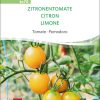 Zitronentomate tomate stabtomate samen bio saatgut sativa kompost&liebe kaufen online shop