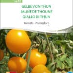 Gelbe von Thun freilandtomate tomate stabtomate samen bio saatgut sativa kompost&liebe kaufen online shop