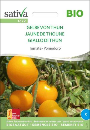 Gelbe von Thun freilandtomate tomate stabtomate samen bio saatgut sativa kompost&liebe kaufen online shop