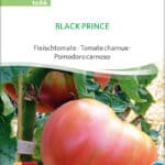 Black Prince Fleischtomate samen bio saatgut sativa kompost&liebe kaufen online shop