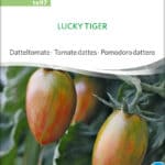 tomate Lucky Tiger datteltomate pflaumentomate freiland samen bio saatgut sativa kompost&liebe kaufen online shop