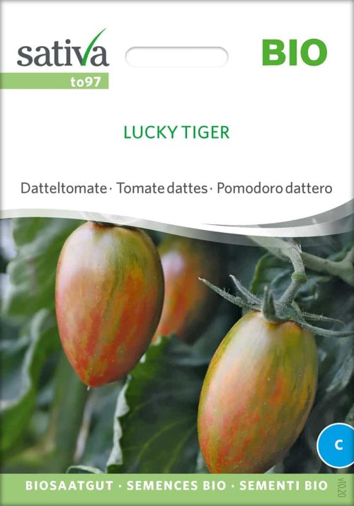 tomate Lucky Tiger datteltomate pflaumentomate freiland samen bio saatgut sativa kompost&liebe kaufen online shop
