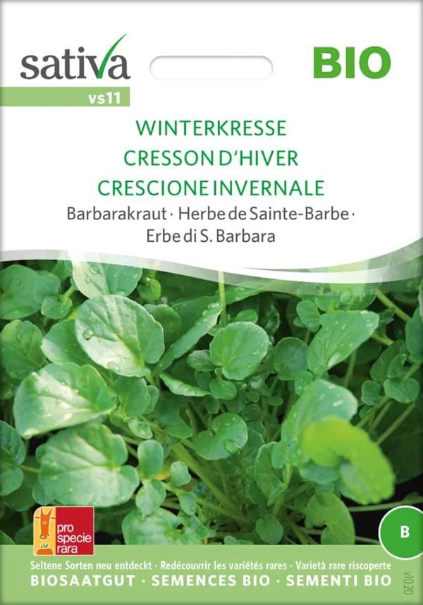 Winterkresse